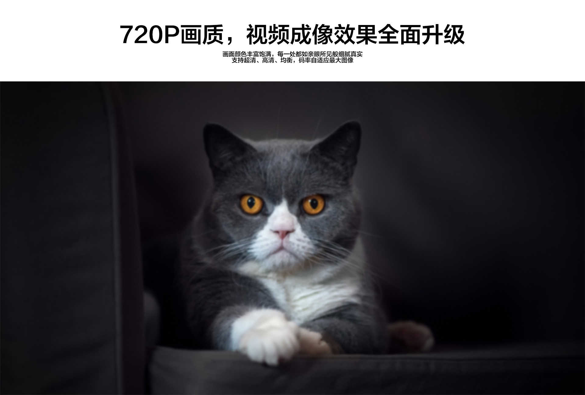 萤石云C2C-_02.jpg