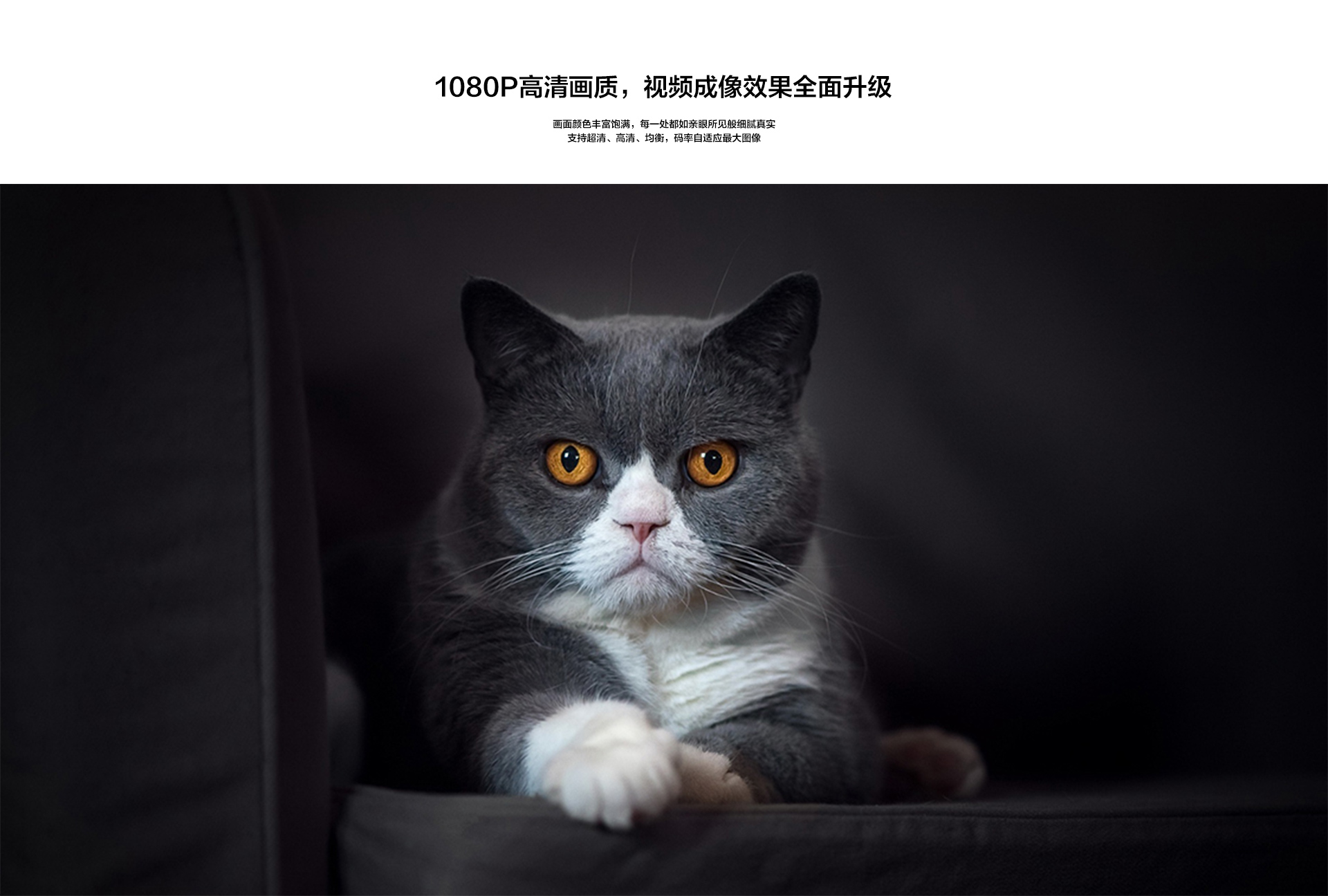 萤石云C6C_02.jpg